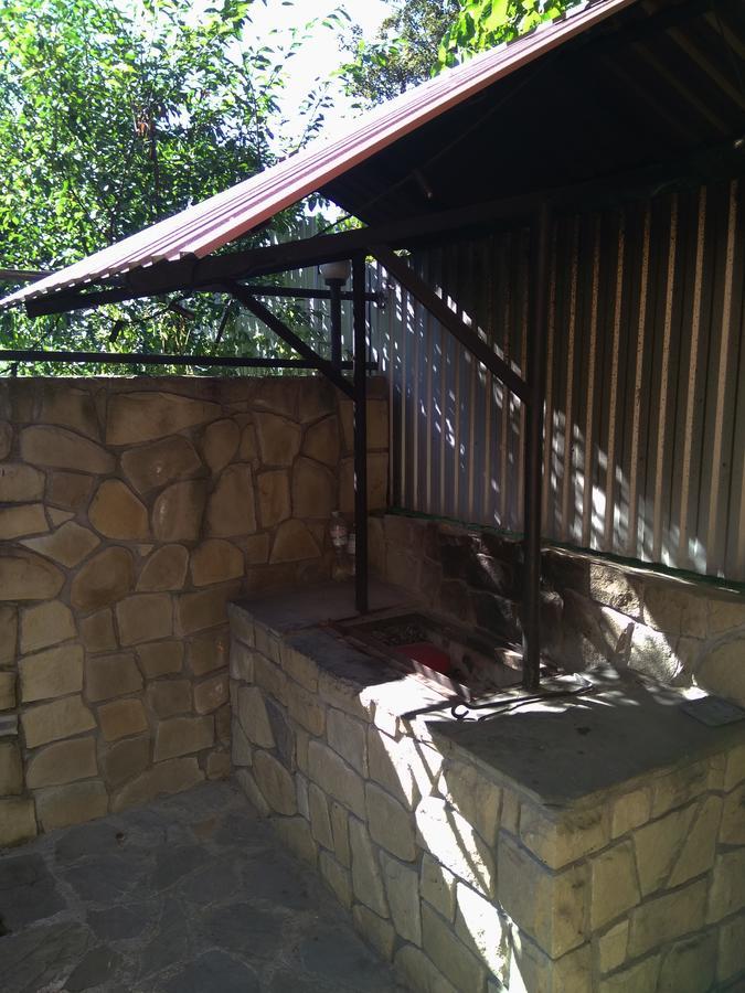 Oskolok Dovbusha Mini-Hotel 亚列姆切 外观 照片